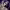 https://res.cloudinary.com/billionhands/image/upload/v1781146558/items/ev0cg9mchiyejn5by2eo.jpg-0cover