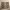 https://res.cloudinary.com/billionhands/image/upload/v1781149412/items/zjuvcsc4txpi8wwftn34.jpg-2cover