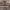 https://res.cloudinary.com/billionhands/image/upload/v1781149424/items/vojtc2lv4ptheiw36pc5.jpg-3cover