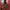 https://res.cloudinary.com/billionhands/image/upload/v1781149559/items/ts4xco2pzov2ilevralj.jpg-0cover