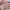 https://res.cloudinary.com/billionhands/image/upload/v1781150466/items/alv4uxgypvuw4v9lsjgz.webp-2cover