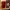 https://res.cloudinary.com/billionhands/image/upload/v1781151475/items/dtsrslplc1rlbwssbyts.jpg-0cover