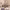 https://res.cloudinary.com/billionhands/image/upload/v1781153692/items/xrjaaifjm6oqygxg2unv.jpg-3cover