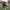https://res.cloudinary.com/billionhands/image/upload/v1781153861/items/mdwuwiewmf9tgoqtdxdh.jpg-2cover