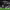 https://res.cloudinary.com/billionhands/image/upload/v1781158219/items/g2cer2armxjehshaotu5.webp-3cover