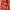 https://res.cloudinary.com/billionhands/image/upload/v1781158645/items/old1ivokceausots0goq.jpg-0cover