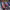 https://res.cloudinary.com/billionhands/image/upload/v1781159132/items/dkyvc4slgo6iiyfxfwdn.webp-3cover