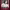 Ana Frank cover