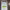 https://res.cloudinary.com/billionhands/image/upload/v1781159735/items/gikms1z97r7pwootwvuv.jpg-1cover