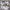 https://res.cloudinary.com/billionhands/image/upload/v1781160405/items/oih3zmd508ztfruzw5bc.jpg-0cover