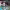 https://res.cloudinary.com/billionhands/image/upload/v1781161472/items/vxrtrfikncdi7ezrhlny.jpg-1cover