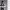 https://res.cloudinary.com/billionhands/image/upload/v1781162507/items/fyttoib1cbkl6o4k7fn1.png-3cover