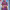 https://res.cloudinary.com/billionhands/image/upload/v1781163680/items/dnlroojcsvy5ui2uq9ow.jpg-1cover