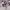 https://res.cloudinary.com/billionhands/image/upload/v1781164137/items/y5aev2lajpycdllz4q62.jpg-2cover