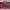 https://res.cloudinary.com/billionhands/image/upload/v1781164622/items/jjm9bhthjvzihluw7krt.webp-3cover