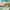 https://res.cloudinary.com/billionhands/image/upload/v1781166158/items/iflenyp7madjf0sctpm9.jpg-1cover