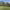 https://res.cloudinary.com/billionhands/image/upload/v1781166166/items/i7rntb5krj02sua0p8yl.jpg-2cover