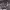 https://res.cloudinary.com/billionhands/image/upload/v1781170815/items/inz5erdrqwcudmehml3s.jpg-2cover