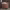 https://res.cloudinary.com/billionhands/image/upload/v1781173061/items/uvnvl4hj08dgfu965c00.jpg-3cover