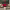 https://res.cloudinary.com/billionhands/image/upload/v1781174671/items/eplovjp7n7vepruxn47n.webp-3cover