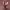 https://res.cloudinary.com/billionhands/image/upload/v1781176293/items/rixvlepcvgkdfcgz2d3f.webp-2cover
