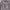 https://res.cloudinary.com/billionhands/image/upload/v1781176679/items/bxem29qhsgmgra9oyxkq.jpg-0cover