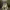 https://res.cloudinary.com/billionhands/image/upload/v1781177053/items/a4isiucqbelv9bhn43f9.jpg-2cover
