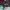 https://res.cloudinary.com/billionhands/image/upload/v1781177353/items/lk1ybvgxbwsahvzvbhvs.jpg-3cover