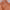 https://res.cloudinary.com/billionhands/image/upload/v1781178214/items/jy615zxfouokknv9bwat.webp-1cover