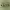 https://res.cloudinary.com/billionhands/image/upload/v1781178217/items/dgmbikign7meyikyctjz.jpg-1cover