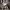 https://res.cloudinary.com/billionhands/image/upload/v1781178302/items/ovjlrs5xoexewtdtqszc.jpg-2cover