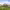 https://res.cloudinary.com/billionhands/image/upload/v1781178654/items/qrrmrmu9fofqysbjdofz.jpg-1cover