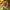 https://res.cloudinary.com/billionhands/image/upload/v1781178766/items/cws6l0lnydgdxg9m3qst.jpg-1cover