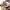 https://res.cloudinary.com/billionhands/image/upload/v1781178766/items/qtlr5se1vbqyqgyubhhc.webp-3cover