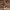 https://res.cloudinary.com/billionhands/image/upload/v1781178844/items/ambtigwzsp2lmavpizrn.jpg-3cover