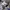 https://res.cloudinary.com/billionhands/image/upload/v1781180119/items/gw6m1qfzshdpzyiw0beu.webp-1cover