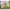 https://res.cloudinary.com/billionhands/image/upload/v1781180670/items/eqsphq2ppwti1iseuydz.jpg-0cover
