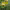 https://res.cloudinary.com/billionhands/image/upload/v1781182464/items/x6broc4meywb2h1uwng3.jpg-3cover