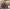https://res.cloudinary.com/billionhands/image/upload/v1781183571/items/wswob4qlg3w8aawwolc2.png-3cover
