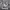 https://res.cloudinary.com/billionhands/image/upload/v1781183572/items/xmu8qakcwyxr603jslur.jpg-3cover