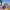 https://res.cloudinary.com/billionhands/image/upload/v1781183580/items/jd3wclzz0rlatbqyvozp.avif-1cover