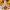 CMLL Grand Prix Internacional 2025 cover