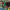 https://res.cloudinary.com/billionhands/image/upload/v1781184321/items/pzowwhioe5qiuubfu2uw.jpg-2cover