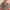https://res.cloudinary.com/billionhands/image/upload/v1781184750/items/iuwyit0vhqo1ww3fvamh.jpg-3cover