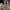 https://res.cloudinary.com/billionhands/image/upload/v1781184751/items/xlvavdvmpk0vtkrfr4id.jpg-2cover