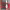 https://res.cloudinary.com/billionhands/image/upload/v1781185918/items/tpmrozoe91lcrnoxbcu2.webp-2cover