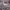 https://res.cloudinary.com/billionhands/image/upload/v1781186181/items/c2m6btndqg3f2zb6yqxq.jpg-1cover
