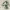 https://res.cloudinary.com/billionhands/image/upload/v1781187777/items/ej1g4vbufjdgeqxc37gj.png-3cover