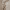 https://res.cloudinary.com/billionhands/image/upload/v1781187953/items/moybsohgf0o10in32bgi.webp-0cover