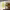 https://res.cloudinary.com/billionhands/image/upload/v1781187977/items/jkewjspx7uqassjhsnkm.jpg-3cover